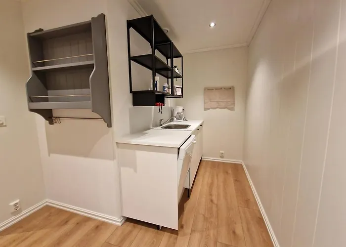 Lägenhet Private With Shared Kitchen, Bathroom And Tv Gjøvik